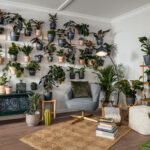 Zimmerpflanzen Im Überblick – Mach Deine Wohnung Grün! | Obi For Grünpflanzen Fürs Wohnzimmer