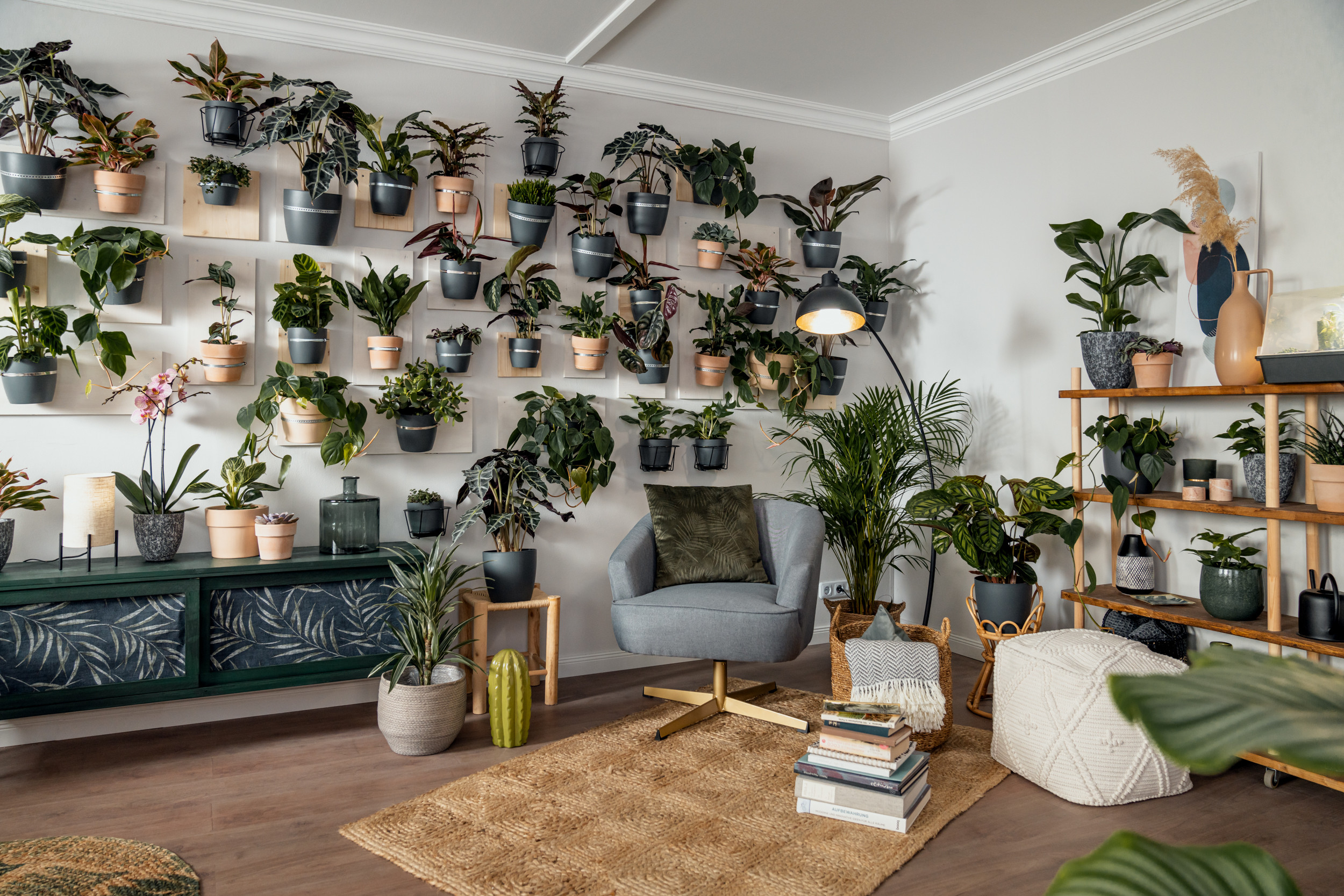 Zimmerpflanzen Im Überblick – Mach Deine Wohnung Grün! | Obi within Pflanzenwand Wohnzimmer